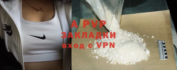 спайс Богданович