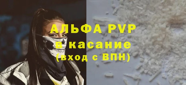 спайс Богданович