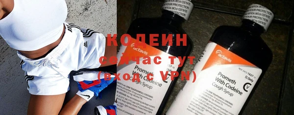индика Дегтярск
