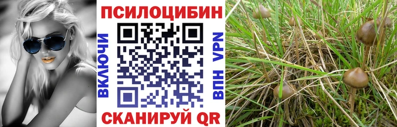 Псилоцибиновые грибы ЛСД  продажа наркотиков  Боровичи 